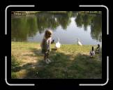 200505 Robyn and ducks * 320 x 240 * (20KB)